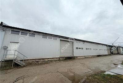 Hala industriala 1175 mp utili de vanzare in Cisnadie - 14