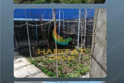 Casa 2 Camere Parter Teren 350 mp Berceni Luica - 9