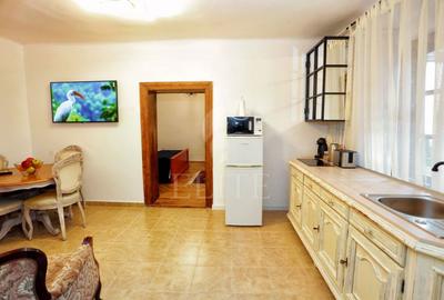 Apartament 2 camere în zona Piata Unirii - 6