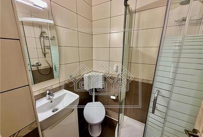 Apartament 4 camere de inchiriat, mobilat si utilat, Vasile Aaron - 9