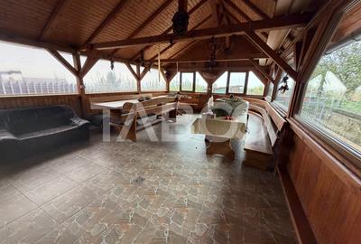 Casa cu potential de investitie 7 camere foisor 4 bazine de pesti - 21
