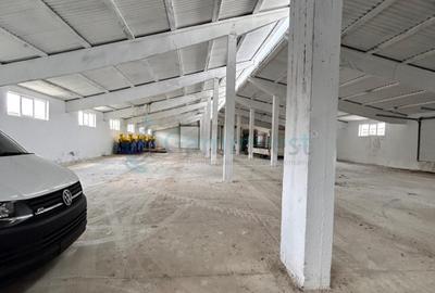 Hala de depozitare industriala Bors - 3