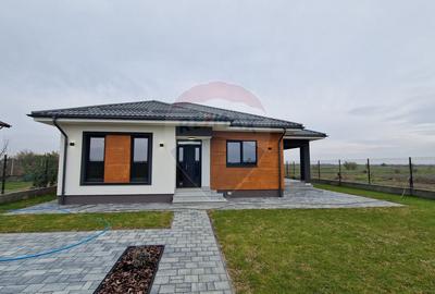 Casă / Vilă cu 3 camere de vânzare Ciocanesti - 1