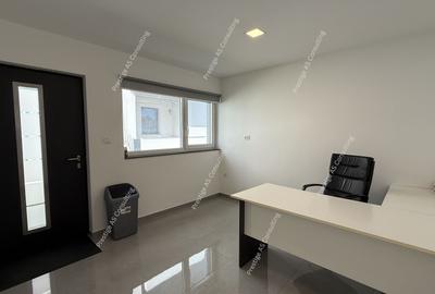 Spatiu Birou Office, Salon, Depozitare | Dumbravita-Parcul Terra - 1