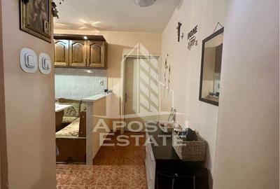 Apartament cu 2 camere de vanzare, etajul 2, zona Sagului, Timisoara - 7