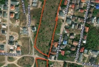 Teren 26.500 mp pe malul lacului - 1