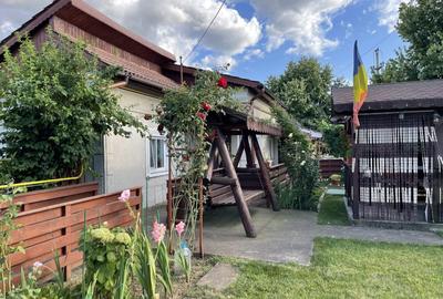 Casa traditionala, 106 mp., Teren 2227, D = 20 m + GARAJ, Clocociov - 5