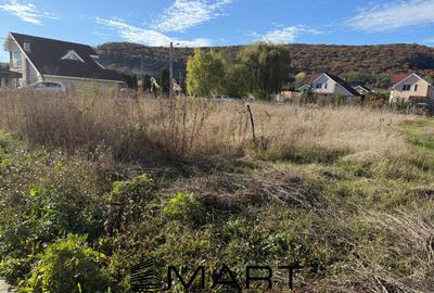Teren intravilan 600 MP zona  Bența - 4