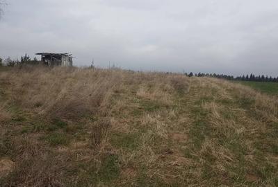 De vânzare terenuri intravilane în Reci - 6