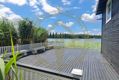 DOM00445 - Vila de poveste la lac cu ponton in Snagov - 14