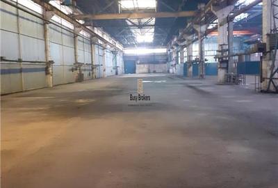 Spatiu Industrial - 4600 mp - Productie - Depozitare - Distributie - 5