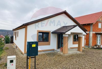 Casa / Vila cu 4 camere de vanzare - 1