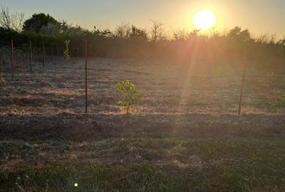 Teren intravilan Steaua de mare 2 - 6