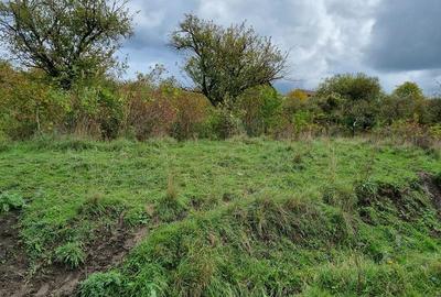 Comision 0%. Teren extravilan de vanzare in Iris, str. Pomet - 2