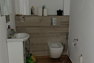 SPATIU COMERCIAL STRADAL - COMISION ZERO - 23