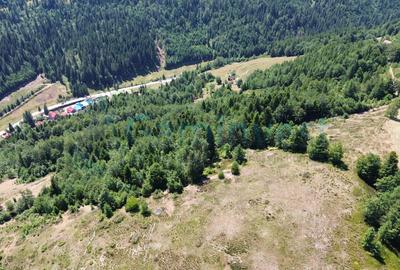 Teren pentru investitie turism, cu izvor si acces la utilitati, zona Arieseni - 5