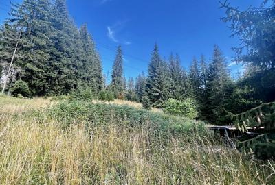 Teren Intravilan Predeal - Acces direct DN - Priveliste deosebita - 28