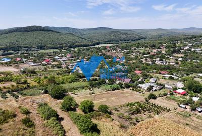 Casa cu teren in Telita - 3549MP - zona foarte frumoasa - 17