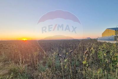 Teren de vanzare la soseaua principala 1ha Mangalia-Limanu Constanta - 1