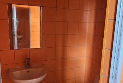 Spatiu comercial pentru inchiriere - Aurel Vlaicu/Pipera - 350 mp - 6