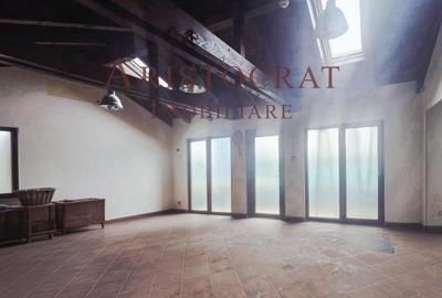 Spatii diverse de inchiriat Ostratu - 8