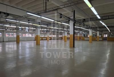 Hală de producție / depozitare – 1.300 mp utili, etaj 1, zona centrala - 14