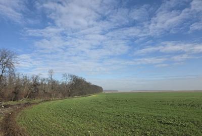 FUNDENi-Oportunitate Majoră de Investiție: 92 286mp - - 1