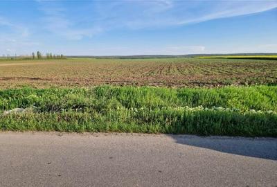 Teren in suprafata de 54000 mp- Sat Branistari, Comuna Calugareni - 1