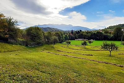 Teren superb de 16240mp, parcelabil, in Bran la intrare in Moeciu de Jos - 20