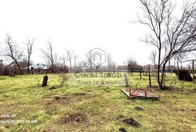 Vanzare casa de paianta la 10 km de Urziceni, Ialomita - 18