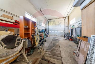 Spațiu industrial cu potential de vanzare in Paulis,Arad - 7