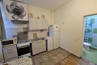 Inchiriere apartament 1 camera zona Marasti, strada Slatina Cluj-Napoca - 9