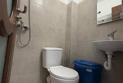 Garsoniera mica, renovata, pe str. Zizinului - 6