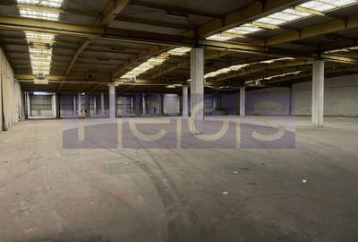 HALA | DEPOZIT - OTOPENI CENTURA  |  20.0000 MP - 25