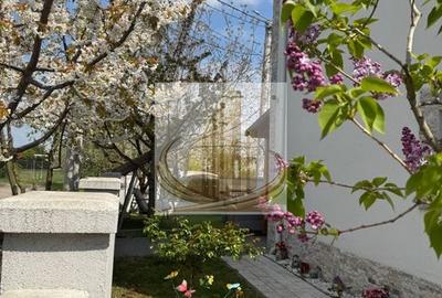 Duplex Spațios, 135mp | 4 Camere | | Zonă Kaufland | Dumbravita - 17