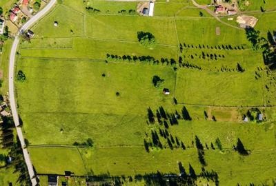 Vanzare 16700 - 9 loturi - Plaiul Sarului la sosea- microdezvoltare langa oras - 5