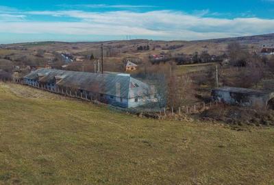 Comision 0%! Teren, 7400 mp constructie 826 mp, Paniceni Cluj - 3