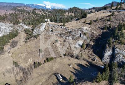 Teren intravilan de vanzare Dambovicioara , Piatra Craiului - 5