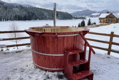 Cabana cu accesc la lac, 1400mp teren Colibita - 15