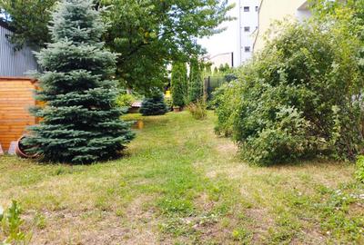 Ocazie! Casa de 300 mp utili, 1000 mp teren, zona Sapte Strazi, Gruia! - 8