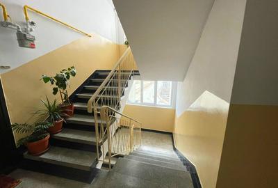 Apartament 2 camere decomandat-Podu Ros-bloc fara risc - 10