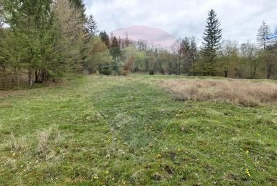 Poienita 2800mp, Covasna, zona hotel Clermont, inconjurat de padure - 10