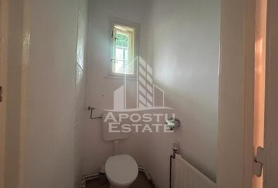Casa individuala pe 2 nivele in Timisoara zona Balcescu - 11