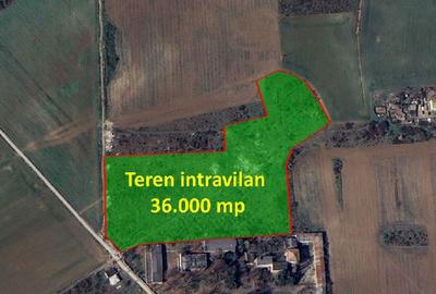 Teren Construcții intravilan de 36000 mp, în Crevedia