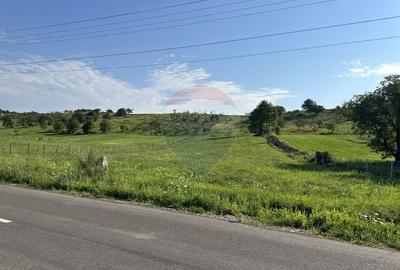Teren 8,300mp Negresti (Dobreni) / Drumul DEALUL OTEL - 1