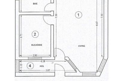 DIRECT PROPRIETAR - Casă de vanzare, P+1E constructie 2011, in VALU LUI  TRAIAN - 10