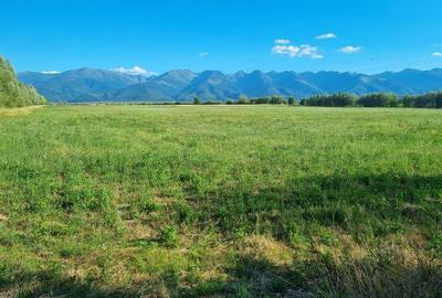 OPORTUNITATE REZIDENTIALA TEREN INTRAVILAN GENEROS 17.526 FAGARAS - 3