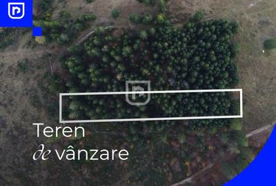 Teren situat in Frasin | BUCOVINA - 1