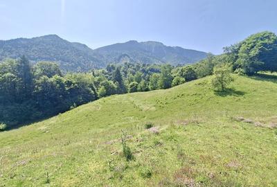 Teren intravilan superb Râșnov Glăjerie - 9