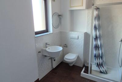 Vila de inchiriat- Bucuresti Nord-Pipera - 21